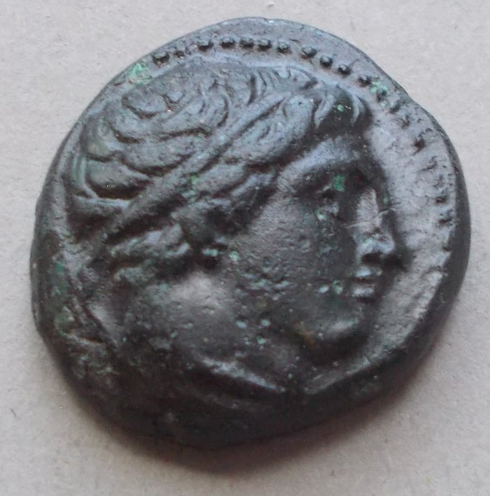 Post-Your-Coins-With-Horses